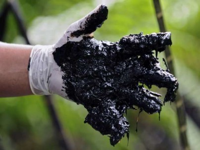 A ação judicial contra a Chevron era sobre danos ambientais na floresta amazônica. A ação judicial contra a Chevron era sobre danos ambientais na floresta amazônica.