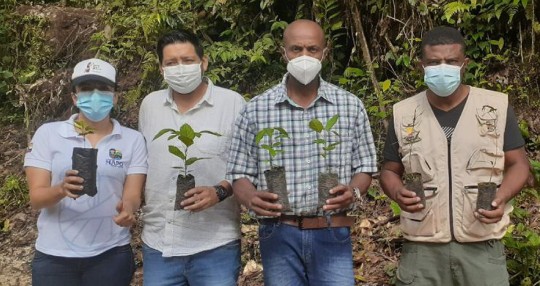 340 habitantes de Napo participaron en la minga de reforestación / Foto: cortesía ministerio de Ambiente