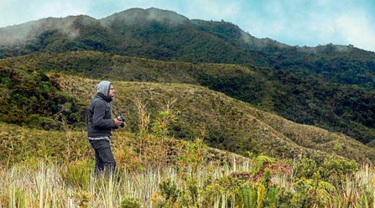 Las heliconias crecen en cualquier espacio y embellecen este paisaje. Foto: El Comercio