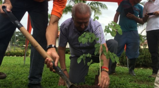 Siembran 900 plantas en la Amazonía ecuatoriana en el Día Nacional del Árbol. Foto: El Comercio