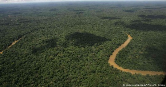 La fiebre del oro negro amenaza los tesoros del Parque Natural Yasuní. Foto: D. Ochoa vía DW.