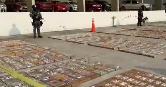 Las drogas destruidas proceden de las diferentes incautaciones realizadas por las fuerzas del orden durante este año y los anteriores / Foto: cortesía Policía Nacional 