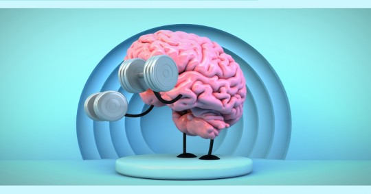 Ejercitar la mente a través de desafíos intelectuales puede ayudar a mantener la plasticidad cerebral/ Foto: cortesía