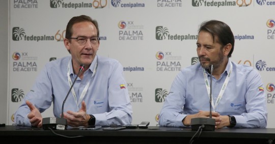 "Ecuador está con un problema serio de pudrición del cogollo y están cambiando prácticamente toda su palmicultura hacia híbridos interespecíficos OxG" / Foto: EFE