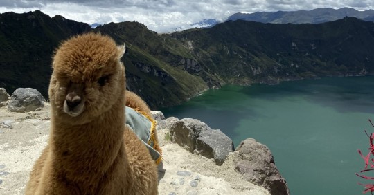 Ha sido destacado como destino de viaje sostenible por Lonely Planet/ Foto: cortesía NG