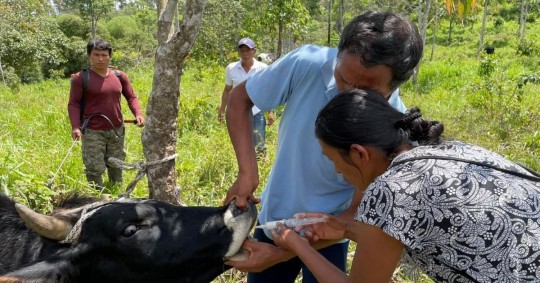 Las capacitaciones estuieron basadas en la conservación y en una producción ganadera sostenible y libre de deforestación / Foto: cortesía ministerio de Agricultura 
