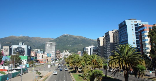 Estas son las placas que tienen pico y placa hoy, 15 de enero de 2024, en Quito / Foto: Shutterstock