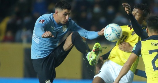 Ecuador sufrió su cuarta derrota en las Eliminatorias / Foto: EFE