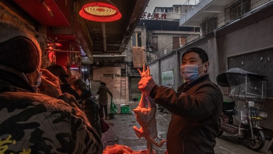 La OMS revela que China tiene guardada información sobre el origen de la pandemia/ Foto: Cortesía EFE