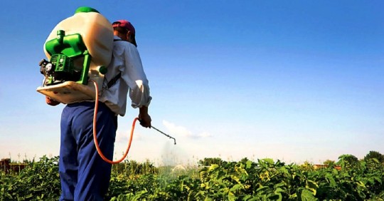 Durante los talleres también se compartió información sobre los equipos de protección personal adecuados a la hora de utilizar plaguicidas / Foto: cortesía 