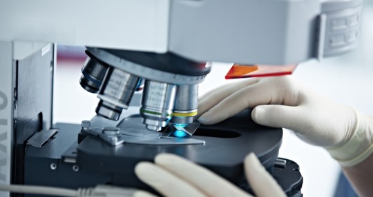 Científicos de la Universidad de Cambridge (Reino Unido) han identificado una medicina utilizada hasta ahora para dolencias de hígado que puede prevenir la infección de SARS-Cov-2 / Foto: Shutterstock