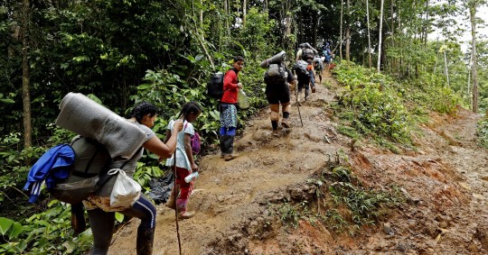 Desde el 1 de enero de 2023 han cruzado por el Darién 248.901 migrantes, la mayoría son venezolanos (136.650), seguidos de los ecuatorianos (34.357)/ Foto: cortesía EFE