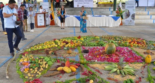 65 productores de los cantones Yacuambi, Zamora, Yantzaza, Pangui, Centinela del Cóndor, Pangui, intercambiaron semillas nativas / Foto: cortesía ministerio de Agricultura