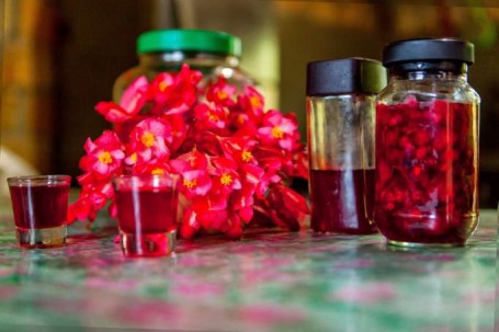 El licor con begonia goza de aceptación en Zamora Chinchipe. Tiene varias utilidades y beneficios. Foto: La Hora