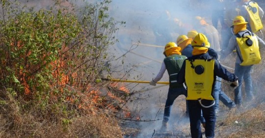 En Ecuador, desde 2010 al 2022 se registraron 22.022 incendios forestales / Foto: cortesía MAATE