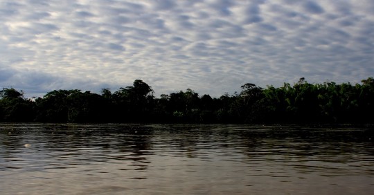 La Amazonía perdió 2,3 millones de hectáreas en 2020, su tercer peor registro / Foto: El Oriente