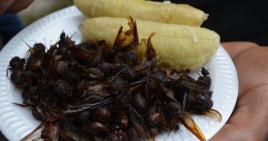 La fusión entre la herencia española con las raíces indígenas ha sido la base de una gastronomía con mucho sabor y creatividad / Foto: cortesía Expreso