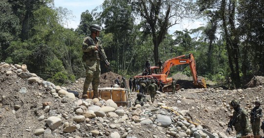 Su inusitado crecimiento ha sido exponencial, con al menos 1.660 hectáreas de selva devoradas en los cinco últimos años / Foto: cortesía EFE