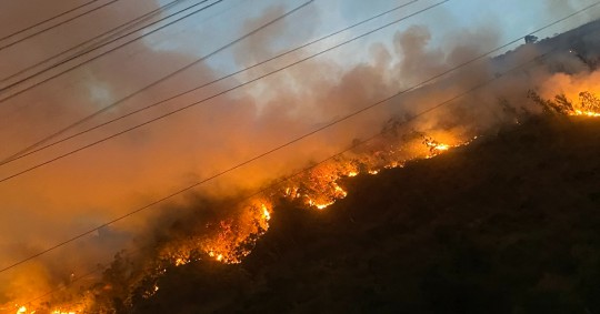 El incendio afecto alrededor de 100 hectáreas de flora y fauna en los sectores Nangora, Yamba y Granadillo, de la parroquia Malacatos / Foto: cortesía @anonidarks