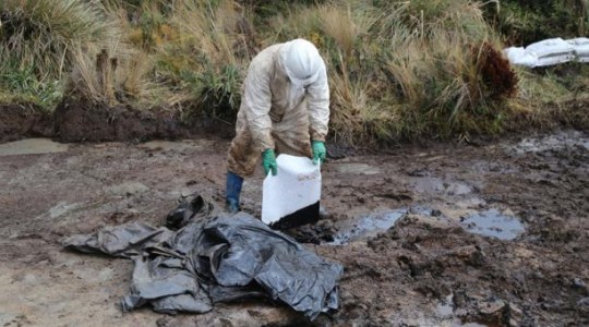 En un sector del Parque Nacional Cayambe Coca se detectó un derrame de petróleo, ocasionado por una tubería clandestina que transporta el crudo. Foto: EL COMERCIO  
