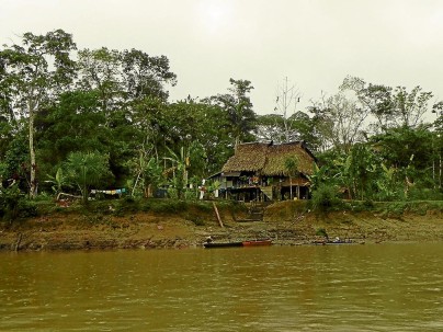 Parque Nacional Yasuní, en el oriente ecuatoriano  - Foto: El Diario