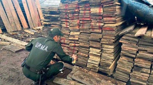 Los operativos de control de la Policía Nacional se realizan en puntos fijos y en recorridos por los bosques. Foto: El Comercio