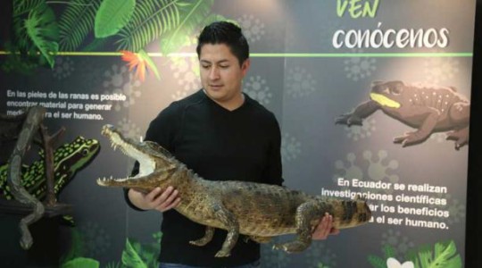 Siete museos de Quito exhibirán piezas de flora, fauna y arte del oriente ecuatoriano. Foto: El Comercio