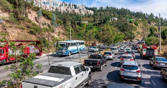 ¿Cómo realizar la matriculación vehicular en Quito? preguntas frecuentes / Foto: cortesía