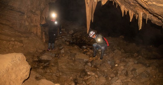 Cueva de los Tayos, un atractivo turístico misterioso en medio de la selva / Foto: El Oriente