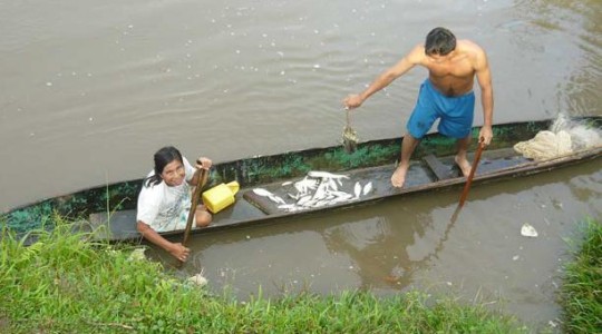 En las comunidades hay un consumo de 1 kilogramo al mes por persona de pescado. Foto: El Comercio