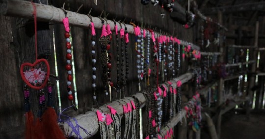Puede alcanzar hasta los 30 metros. Su tronco es recto, con anillos y lleno de espinas que pueden medir alrededor de 10-15 centímetros de largo / Foto: El Oriente
