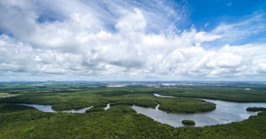 Foto: Shutterstock