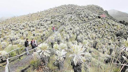 Foto: Diario El Norte