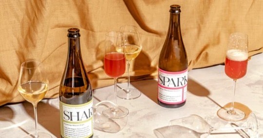 Los millennials ahora prefieren bebidas más saludables y el sector se expande / Foto: cortesía Blurred Vines 