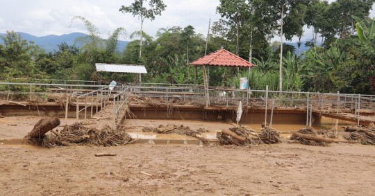 13 viviendas fueron las más afectadas. Hay varios sectores sin agua potable debido a la destrucción de tuberías y alcantarillado / Foto: cortesía de Alcadía de Nangaritza