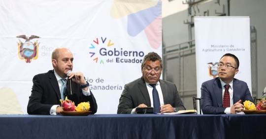 China se sumó así a los 58 países a los que llega la pitahaya ecuatoriana, pues Estados Unidos es el principal mercado de destino con el 84 % del volumen total exportado / Foto: cortesía Ministerio de Producción 