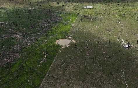 En esta toma aérea de 2013 se ve una zona deforestada de la Amazonía, en el estado de Pará, en donde unas vacas, a la derecha, pastan. Credit Nacho Doce/Reuters