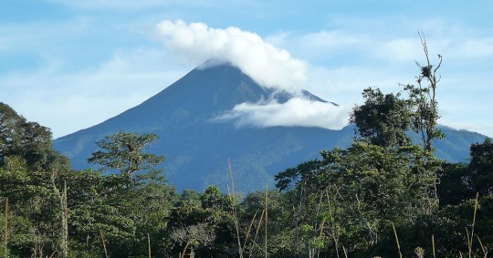 El volcán Sumaco, un universo de vida invisible aún por descifrar en Ecuador / Foto: EFE