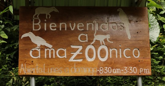 AmaZoonico, un centro de rescate animal en el corazón de la selva ecuatoriana / Foto: El Oriente