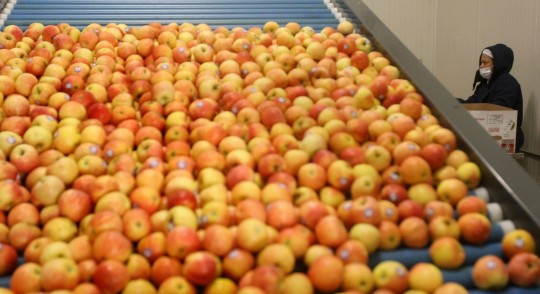 Gremios agropecuarios temen pérdidas por falta de recursos / Foto: EFE