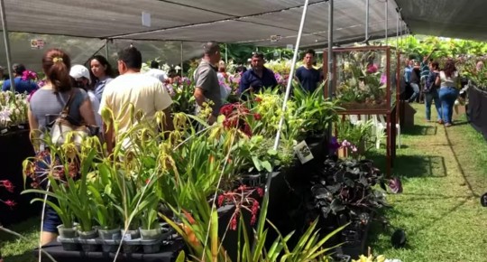 Se puede observar las 3 nuevas especies descubiertas en Zamora Chinchipe y Azuay