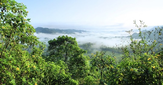 Los países de la Amazonía tienen 871 áreas de exploración de petróleo y gas en la mayor selva tropical del mundo/ Foto: cortesía