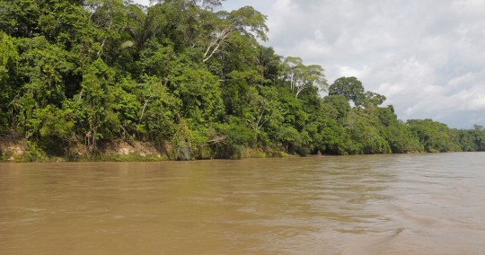 Los ríos de Ecuador están contaminados con coliformes / Foto: El Oriente