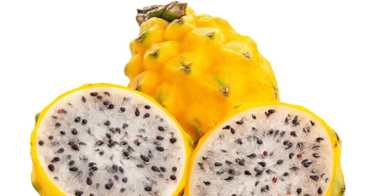En el país existen 1.528 hectáreas de producción de esta fruta exótica/ Foto: cortesía