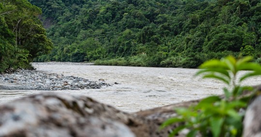 Es el Área de Protección Hídrica más extensa de Ecuador/ Foto: cortesía The Nature Conservancy Ecuador