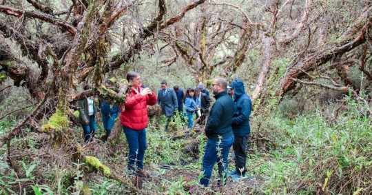 Ese espacio es el área protegida número 75 de Ecuador y es también una zona conocida como Refugio de Vida Silvestre / Foto: cortesía Ministerio de Ambiente