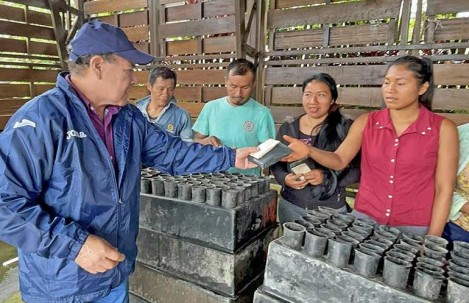 Productores de San Rita, provincia de Napo, recibieron fundas, tubetes y semillas para implementar parcelas de media hectárea ají habanero. / Foto: Cortesía ministerio de Agricultura