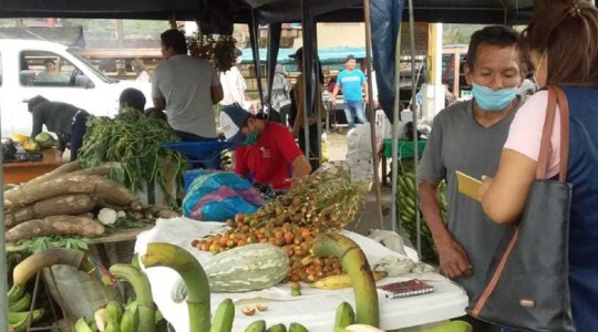 Pequeños productores de Zamora venden sin intermediarios / Foto: cortesía Ministerio de Agricultura