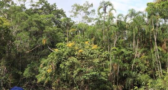 Fondo Verde para el Clima aprueba financiación para dos proyectos en Ecuador / Foto: El Oriente