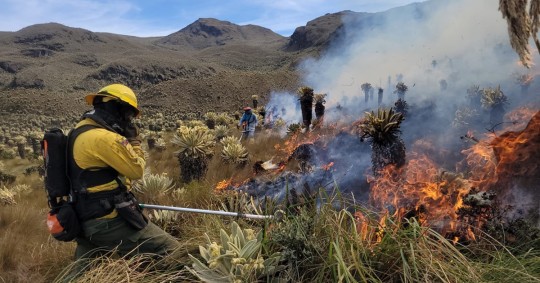 El COE de la provincia de Carchi reforzará las acciones que permitan poner fin al incendio en esa reserva ecológica / Foto: cortesía Bomberos de Quito